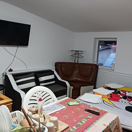 Sara 3 Dormitoare Nu Primesc Santieristi Si Petrecareti Villa บูคาเรสต์ ภายนอก รูปภาพ
