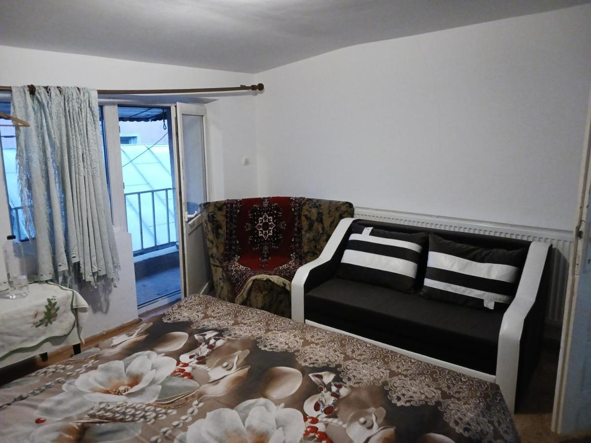 Sara 3 Dormitoare Nu Primesc Santieristi Si Petrecareti Villa บูคาเรสต์ ภายนอก รูปภาพ